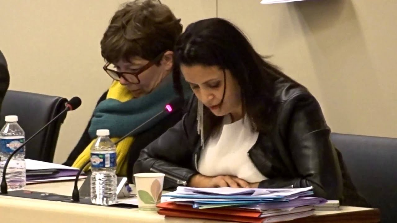 Intervention Fouziya BOUZERDA Ouverture dominicale Conseil 10 décembre 2015